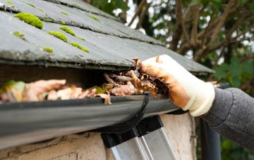 gutter cleaning Nerston, South Lanarkshire